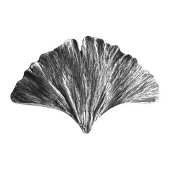 Leaves 2-1/8 Inch Diameter Brite Nickel Cabinet Knob Leaves 2-1/8 Inch Diameter Brite Nickel Cabinet Knob