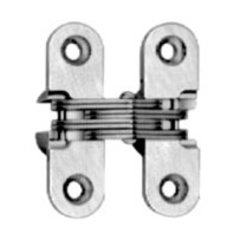 #203 Invisible Hinge Polished Brass #203 Invisible Hinge Polished Brass