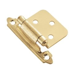 Variable Overlay Hinge Pair Brass Self Close Variable Overlay Hinge Pair Brass Self Close