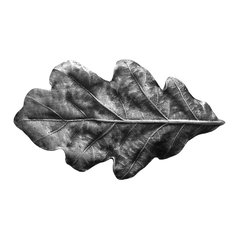 Leaves 2-1/4 Inch Diameter Antique Pewter Cabinet Knob Leaves 2-1/4 Inch Diameter Antique Pewter Cabinet Knob