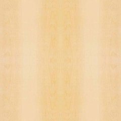 White Maple Wood Veneer Plain Sliced 10 Mil 4 feet x 8 feet White Maple Wood Veneer Plain Sliced 10 Mil 4 feet x 8 feet