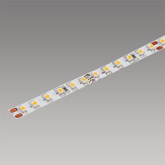 TapeBasic-LED 196" 600 LED Roll Cool White TapeBasic-LED 196" 600 LED Roll Cool White