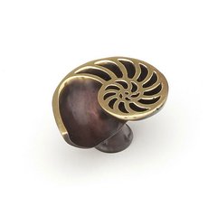 Neptune 1-1/2 Inch Diameter Polished Brass and Bronze Cabinet Knob Neptune 1-1/2 Inch Diameter Polished Brass and Bronze Cabinet Knob