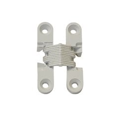 #101 Invisible Hinge White #101 Invisible Hinge White