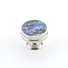 Imperial Shell 1-3/8 Inch Diameter Imperial Shell, Polished Nickel Cabinet Knob Imperial Shell 1-3/8 Inch Diameter Imperial Shell, Polished Nickel Cabinet Knob