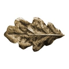 Leaves 2-1/4 Inch Diameter Antique Brass Cabinet Knob Leaves 2-1/4 Inch Diameter Antique Brass Cabinet Knob