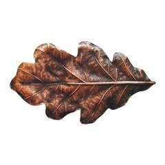 Leaves 2-1/4 Inch Diameter Antique Copper Cabinet Knob Leaves 2-1/4 Inch Diameter Antique Copper Cabinet Knob
