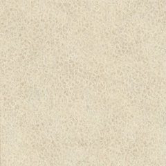 Western White Edgebanding - 15/16 inch x 600' Western White Edgebanding - 15/16 inch x 600'