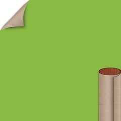 Vibrant Green Matte Finish 4 ft. x 8 ft. Vertical Grade Laminate Sheet Vibrant Green Matte Finish 4 ft. x 8 ft. Vertical Grade Laminate Sheet