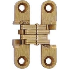 14% OFF #101 Invisible Hinge - Pair - Satin Brass