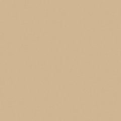 Sand Matte Finish 4 ft. x 8 ft. Vertical Grade Laminate Sheet Sand Matte Finish 4 ft. x 8 ft. Vertical Grade Laminate Sheet