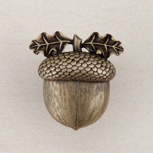 Acorn coupon code